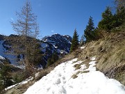 Primavera al Monte Campo, neve al Laghetto di Pietra Quadra -20magg21 - FOTOGALLERY